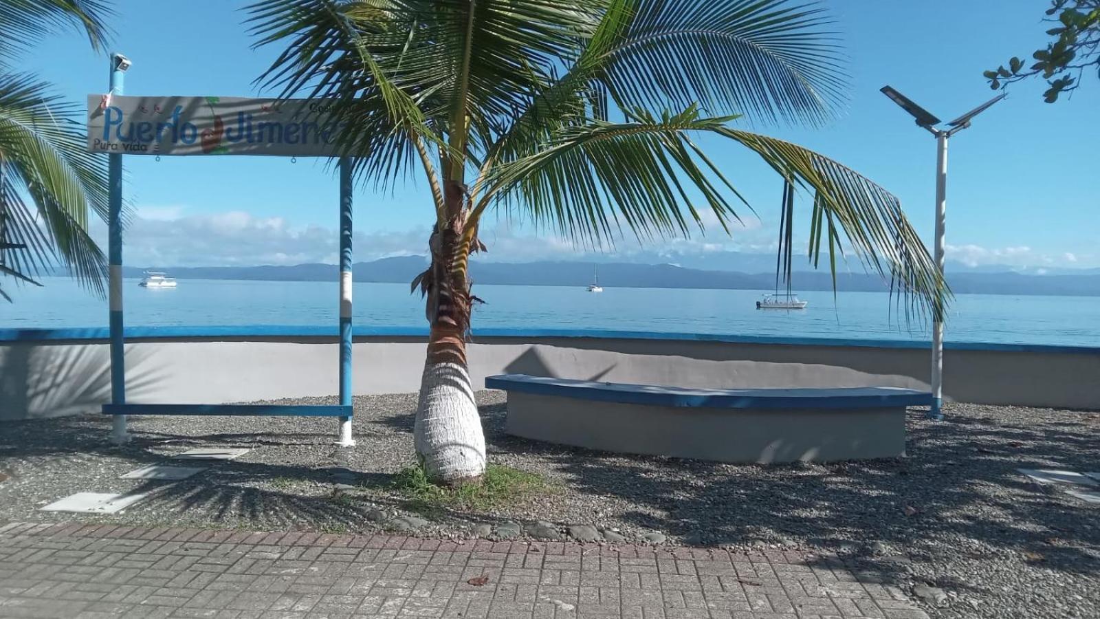 Osa Surf House Hotell Puerto Jiménez Exteriör bild