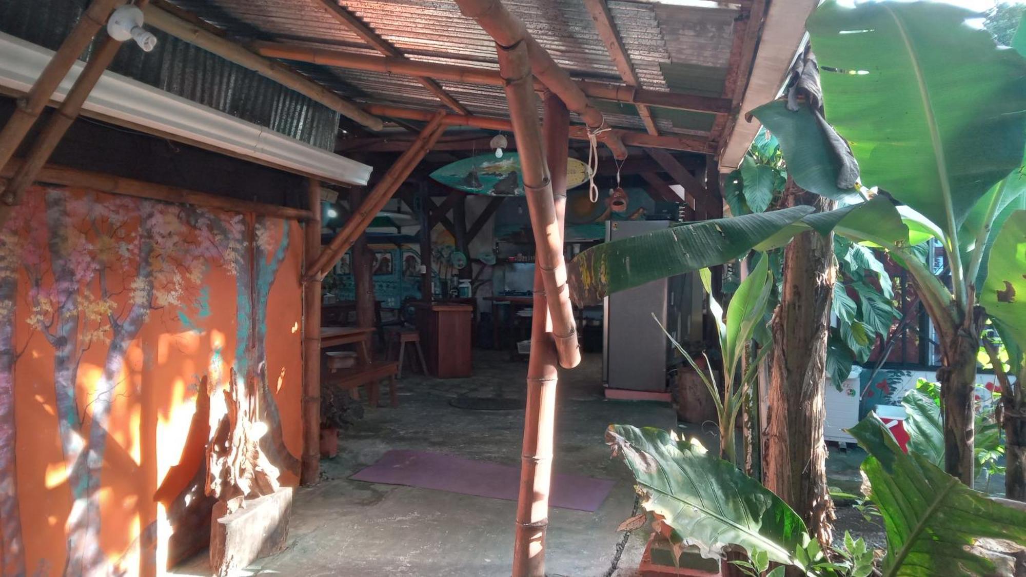 Osa Surf House Hotell Puerto Jiménez Exteriör bild
