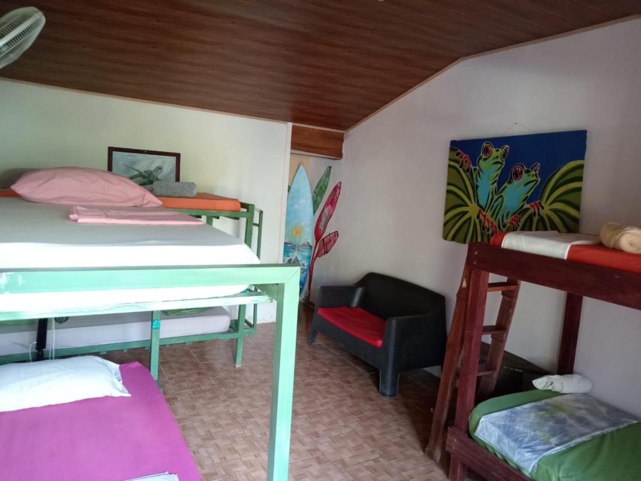 Osa Surf House Hotell Puerto Jiménez Exteriör bild